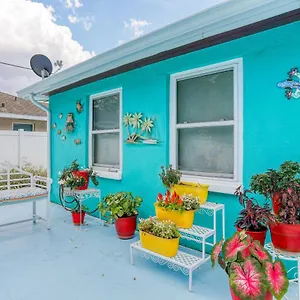 Aquamarine Rose Bradenton